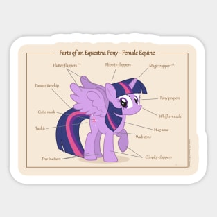 Pony Anatomy - Female Equine Sticker